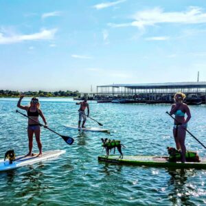 Paddle-with-your-Pooch-at-DFW-Surf
